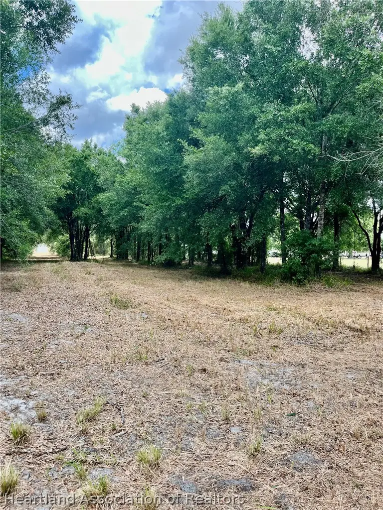 1298 Old Bradenton Road, Wauchula, FL 33873 - #3