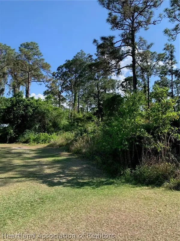 1017 Dearing Street, Lake Placid, FL 33852