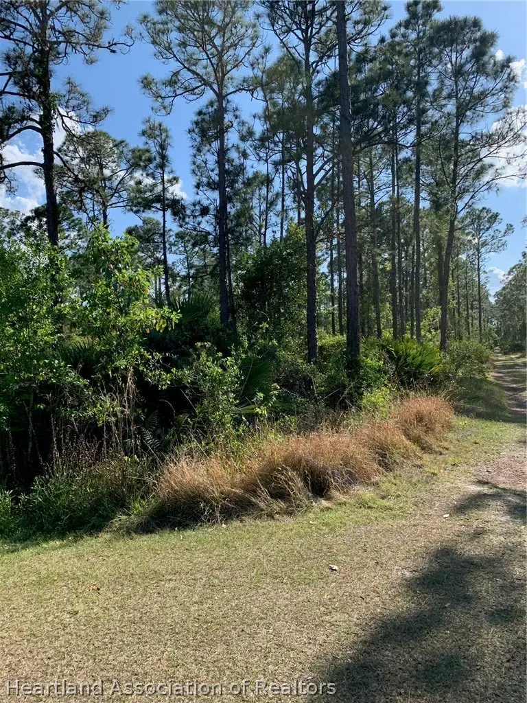 1017 Dearing Street, Lake Placid, FL 33852 - #2