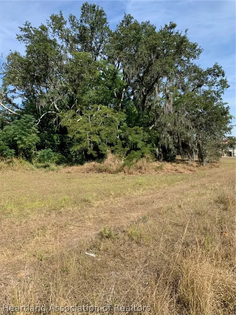 407 E Citico Street, Avon Park, FL 33825 - #1