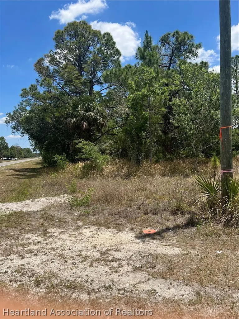 3156 Miller Avenue, Lake Placid, FL 33852 - #2