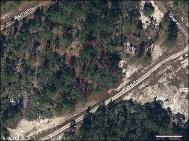 396 Stardust Avenue, Lake Placid, FL 33852 - #1
