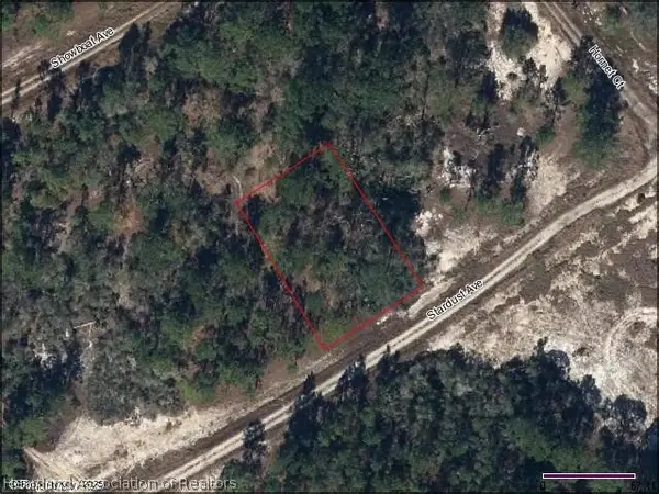 396 Stardust Avenue, Lake Placid, FL 33852