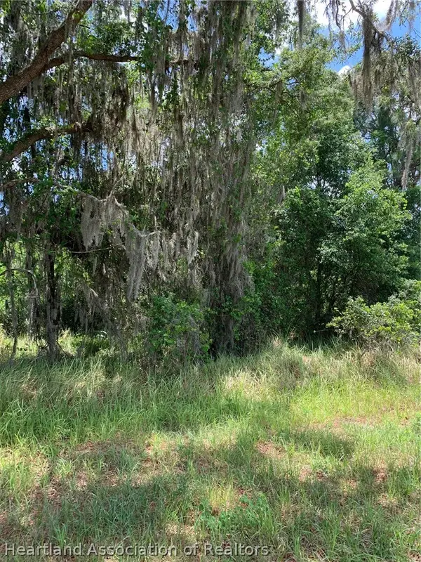 3485 W County Line Road, Avon Park, FL 33825