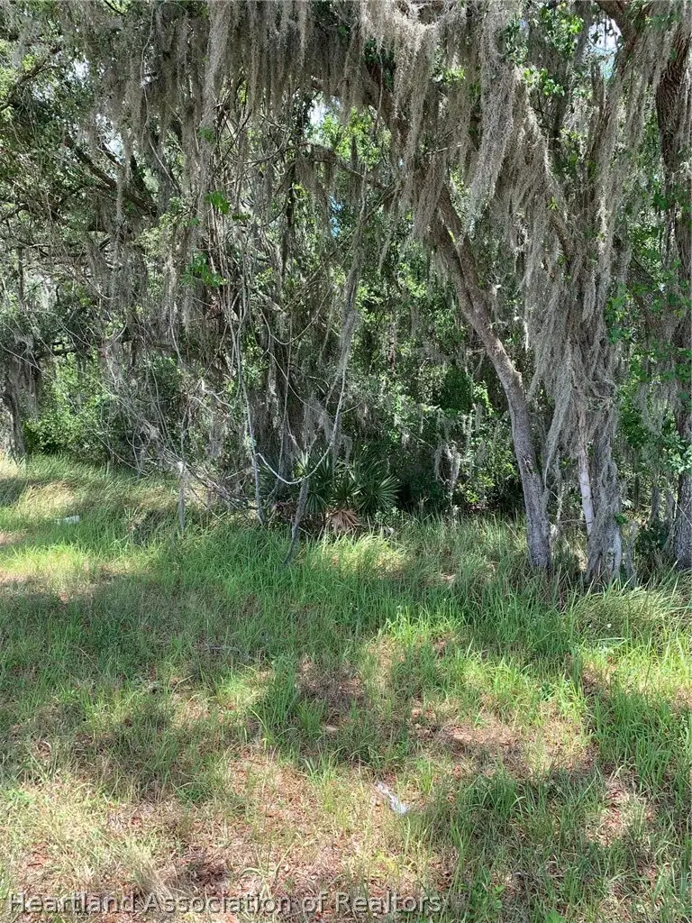 3485 W County Line Road, Avon Park, FL 33825 - #2