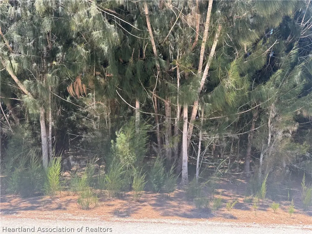 2696 W Jernigan Road, Avon Park, FL 33825 - #1