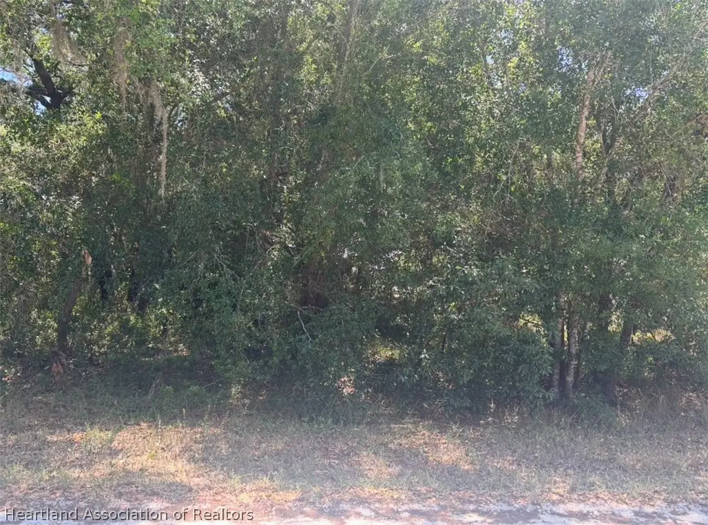 2841 W Rochester Road, Avon Park, FL 33825 - #1