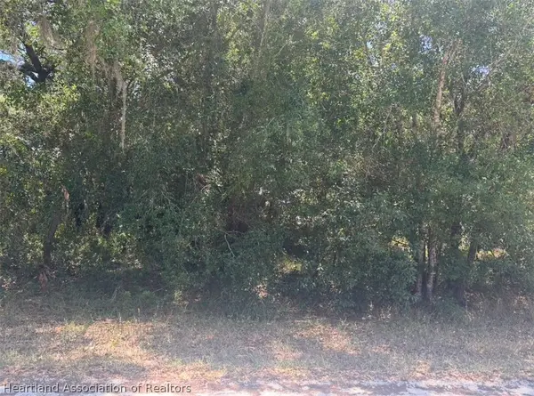 2841 W Rochester Road, Avon Park, FL 33825