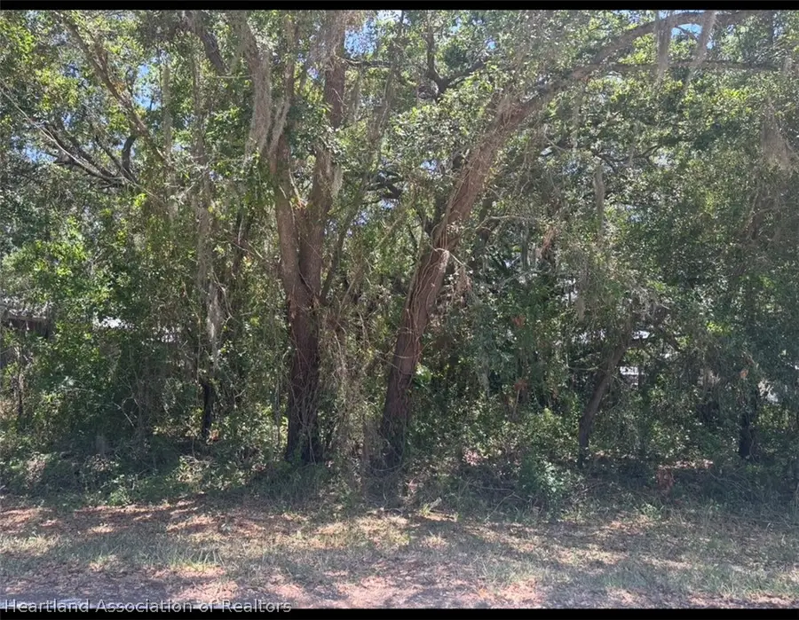 2841 W Rochester Road, Avon Park, FL 33825 - #2