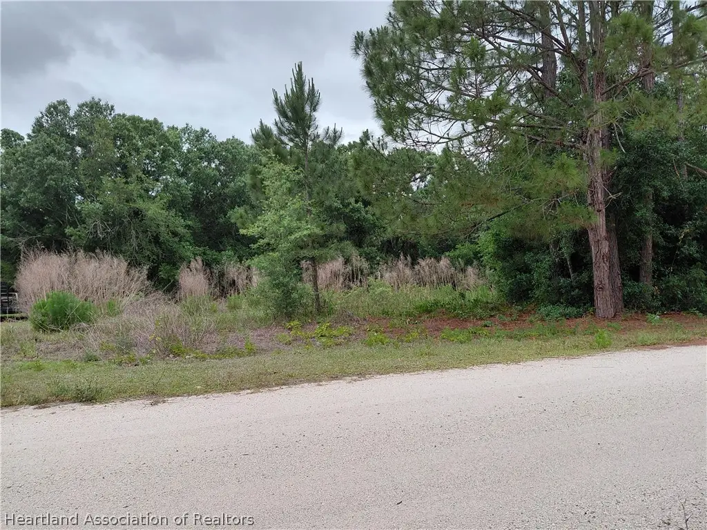 2134 W Flamingo Road, Avon Park, FL 33825 - #1