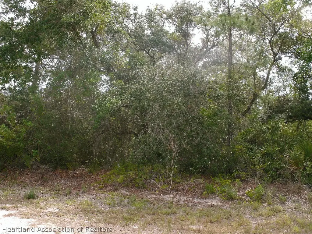 399 Imagination Drive, Lake Placid, FL 33852 - #1
