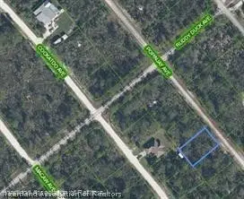 1216 Popingjay Avenue, Lake Placid, FL 33852