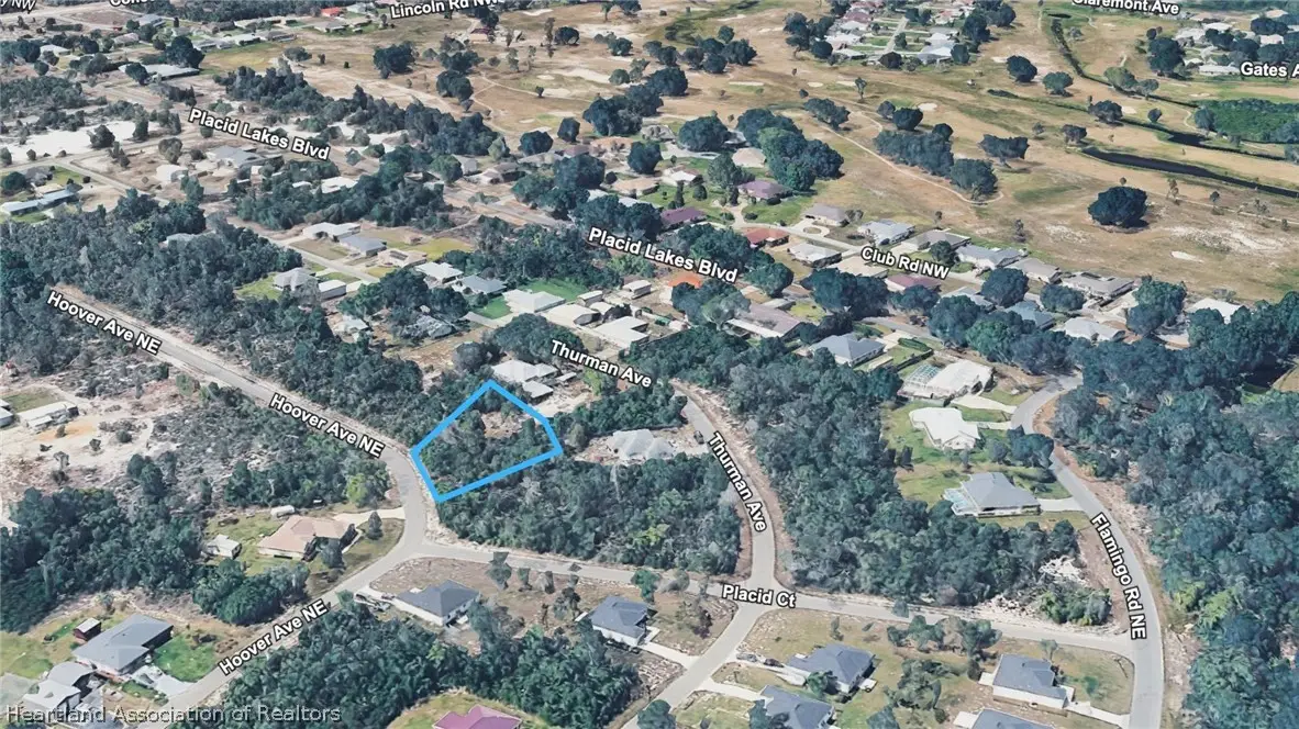 439 Hoover Avenue Ne, Lake Placid, FL 33852 - #1