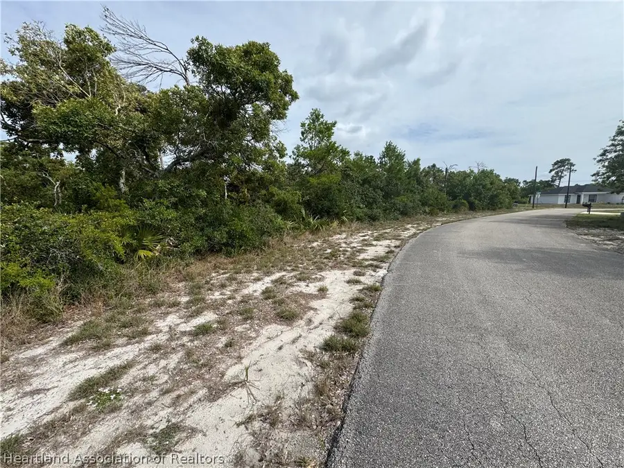 439 Hoover Avenue Ne, Lake Placid, FL 33852 - #3