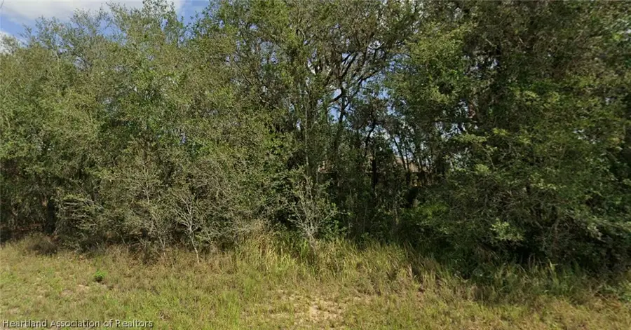 2920 W Odessa Road, Avon Park, FL 33825 - #2