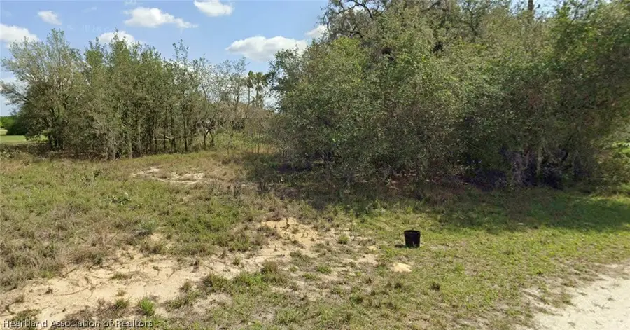 2920 W Odessa Road, Avon Park, FL 33825 - #3