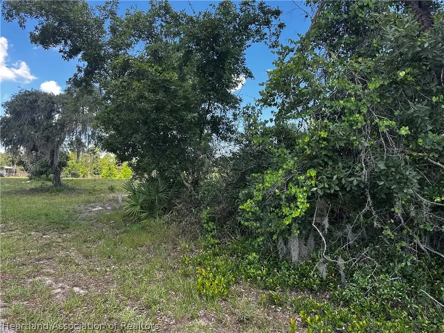 3325 N Horseshoe Drive, Avon Park, FL 33825 - #2