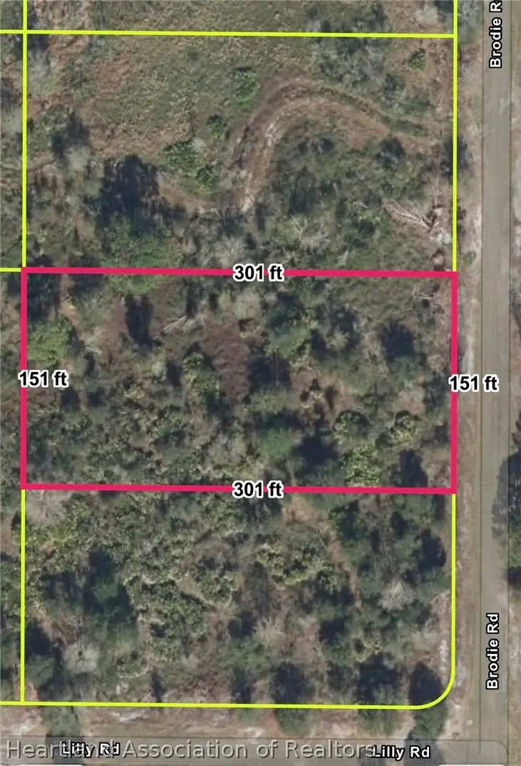 1236 S Brodie Road, Avon Park, FL 33825 - #1