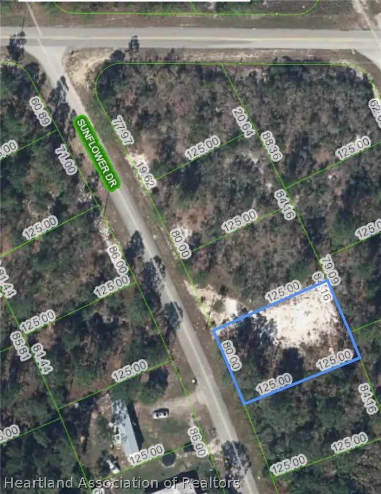 125 Sunflower Drive, Lake Placid, FL 33852 - #1
