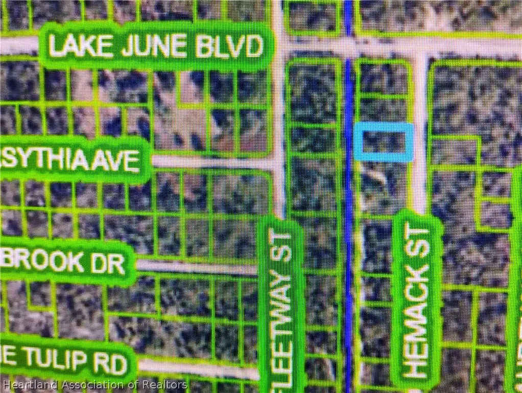 959 Hemack Street, Lake Placid, FL 33852 - #1