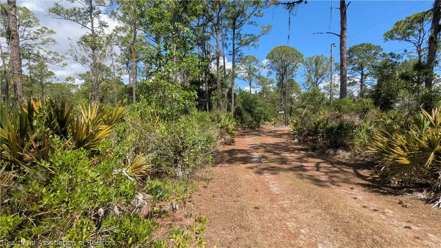 706 Poinciana Street, Lake Placid, FL 33852 - #2