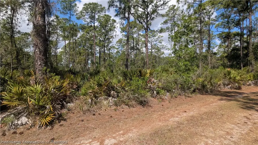 706 Poinciana Street, Lake Placid, FL 33852 - #3