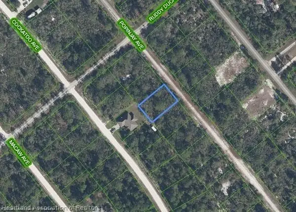 1218 Popinjay Avenue, Lake Placid, FL 33852
