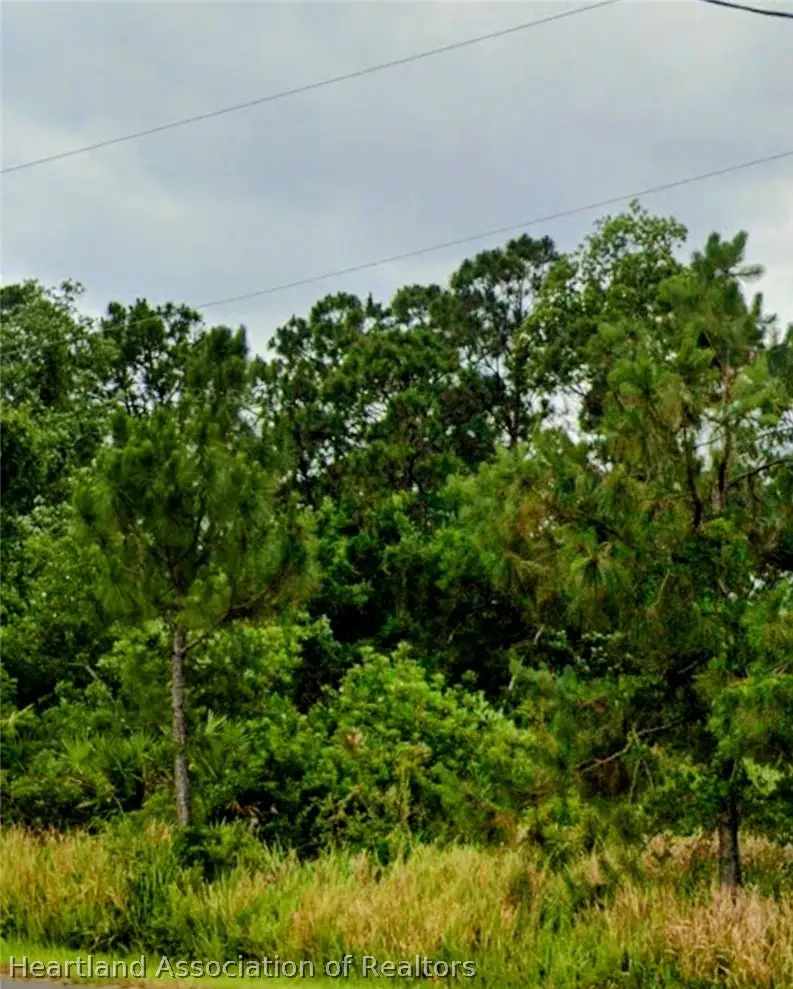 6715 Benevento Avenue, Sebring, FL 33872 - #3