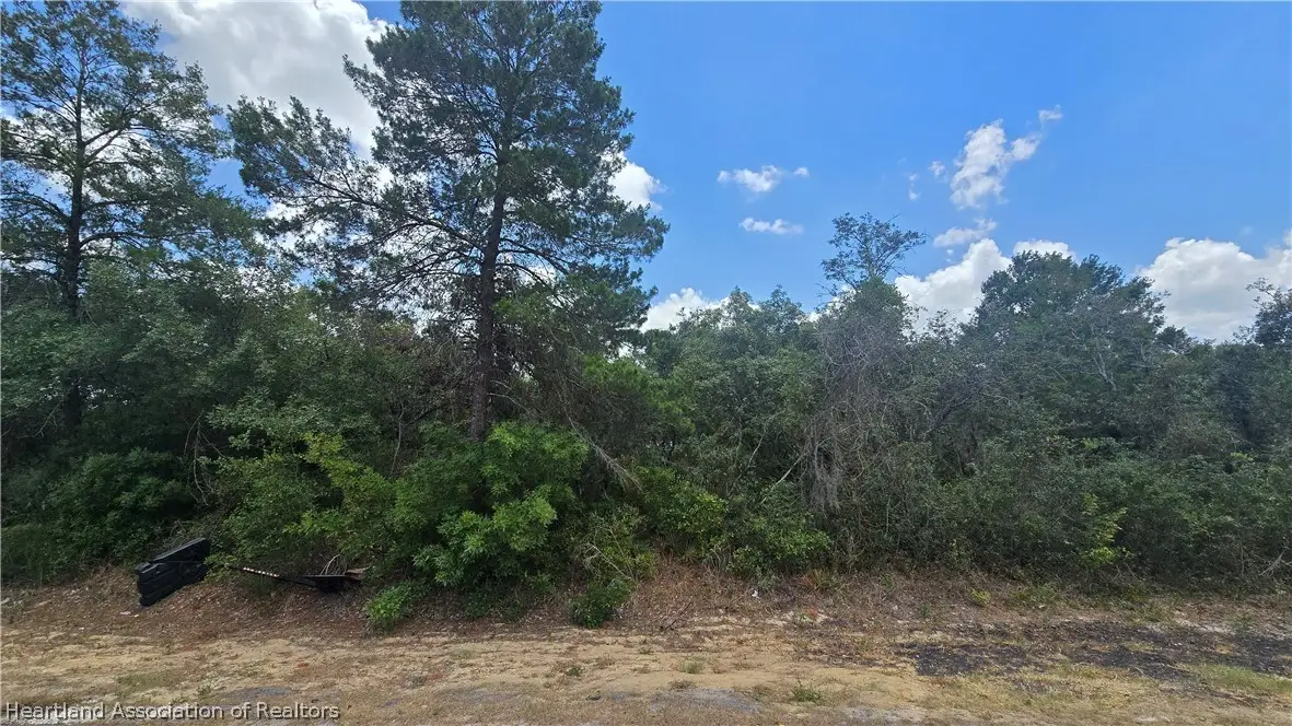 415 Ecstasy Avenue, Lake Placid, FL 33852 - #1