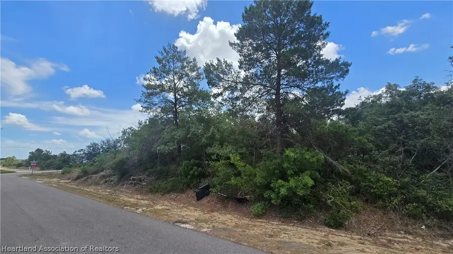 415 Ecstasy Avenue, Lake Placid, FL 33852 - #2