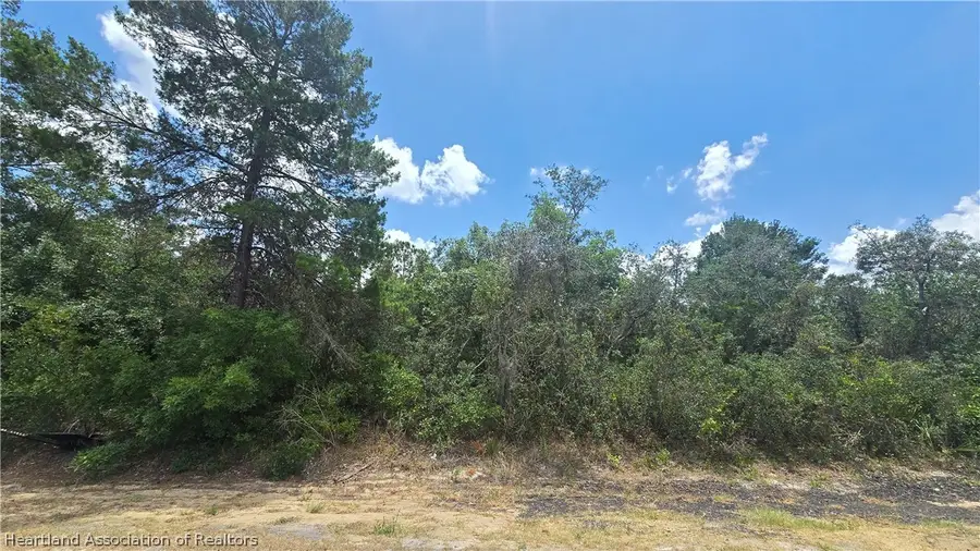 415 Ecstasy Avenue, Lake Placid, FL 33852 - #3