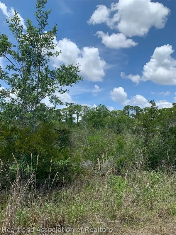 1220 Breneman Street, Lake Placid, FL 33852