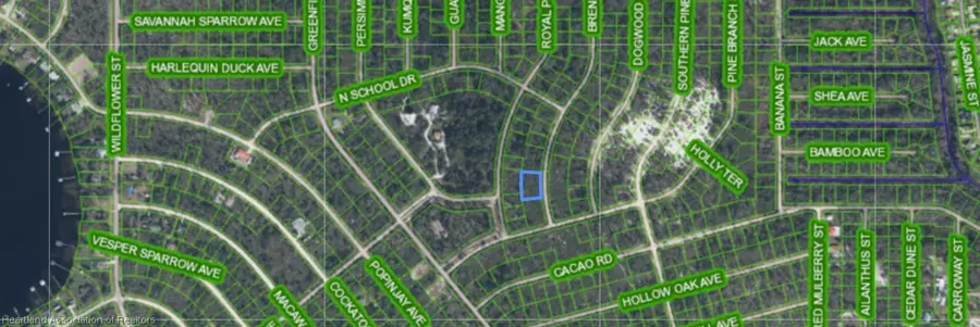 1220 Breneman Street, Lake Placid, FL 33852 - #3