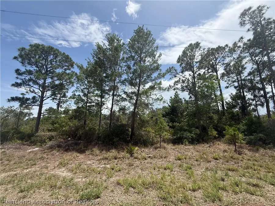 205 Islamorada Street Ne, Lake Placid, FL 33852 - #2