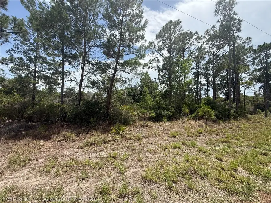 205 Islamorada Street Ne, Lake Placid, FL 33852 - #3