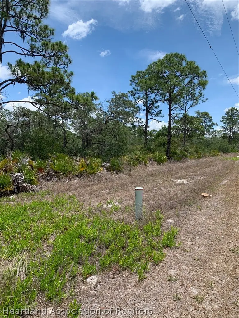 551 Wildflower Street, Lake Placid, FL 33852 - #2