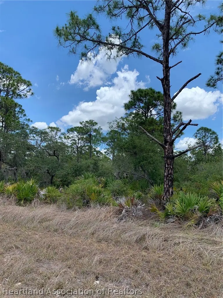 553 Wildflower Street, Lake Placid, FL 33852 - #2