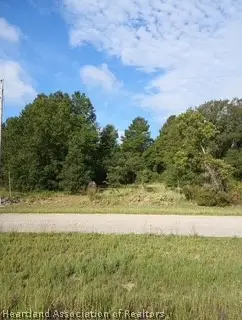 2867 N Nepera Road, Avon Park, FL 33825