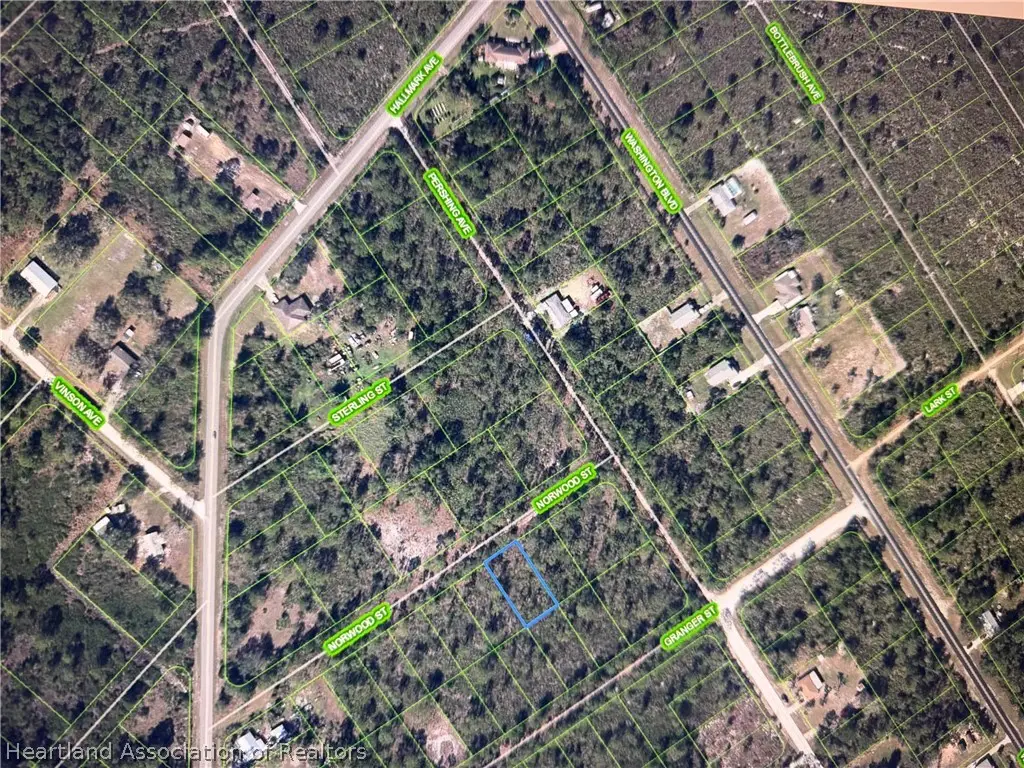 1015 Norwood Street, Lake Placid, FL 33852 - #1