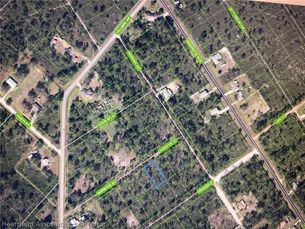 1015 Norwood Street, Lake Placid, FL 33852