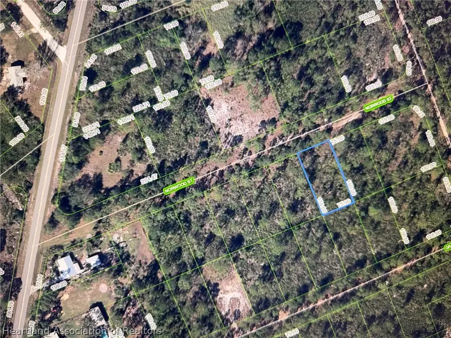 1015 Norwood Street, Lake Placid, FL 33852 - #2