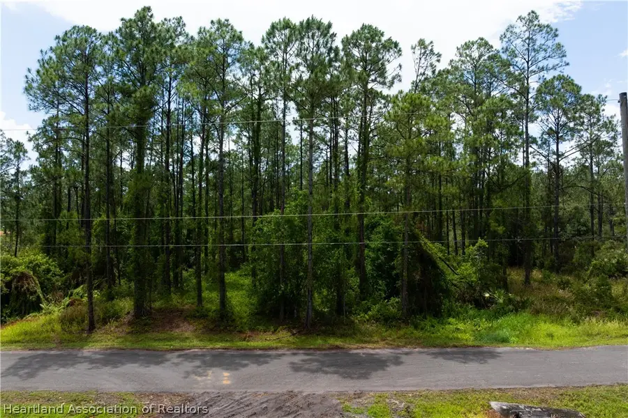 8309 Mantua Avenue, Sebring, FL 33872 - #3