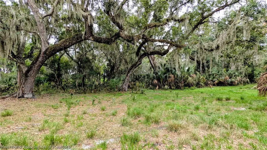 Griffin Road, Wauchula, FL 33873 - #2