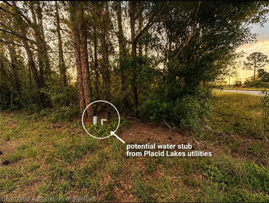 337 Comanche Street Nw, Lake Placid, FL 33852 - #2