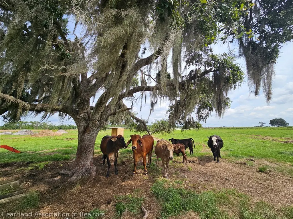 1013 Cattle Ranch Road, Venus, FL 33960 - #1