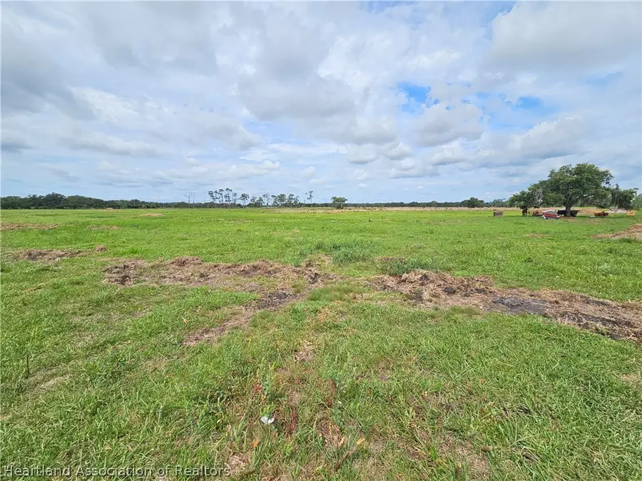 1013 Cattle Ranch Road, Venus, FL 33960 - #3