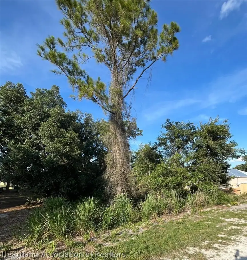 3022 Mullet Avenue, Sebring, FL 33870 - #1