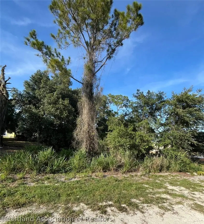 3022 Mullet Avenue, Sebring, FL 33870 - #3
