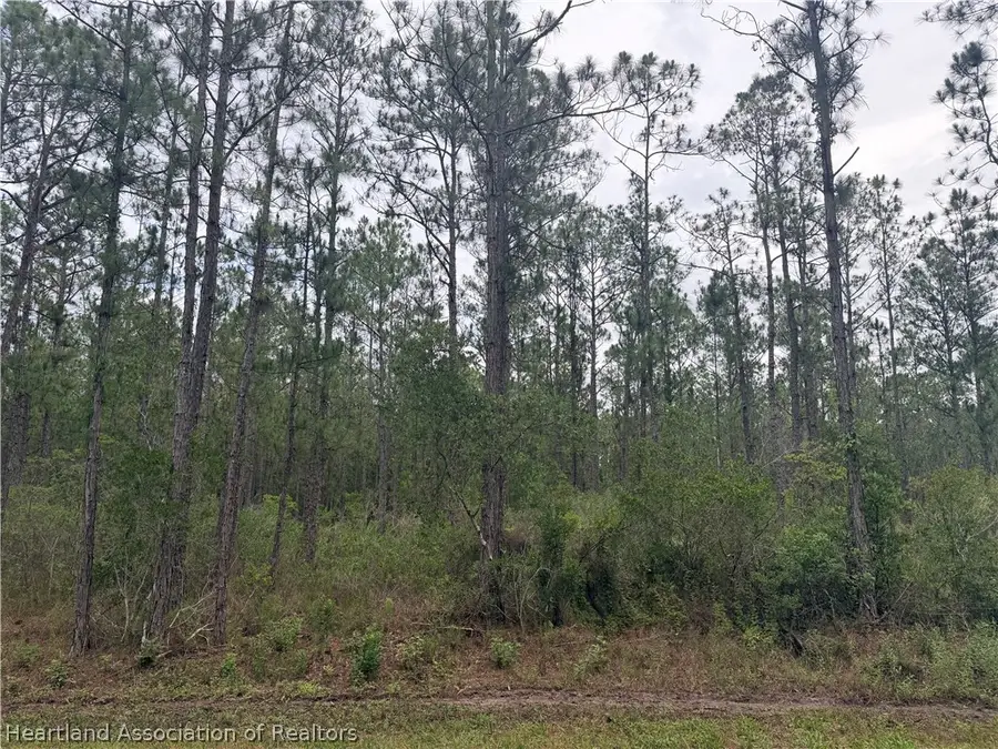 6438 Merrick Drive, Sebring, FL 33872 - #2