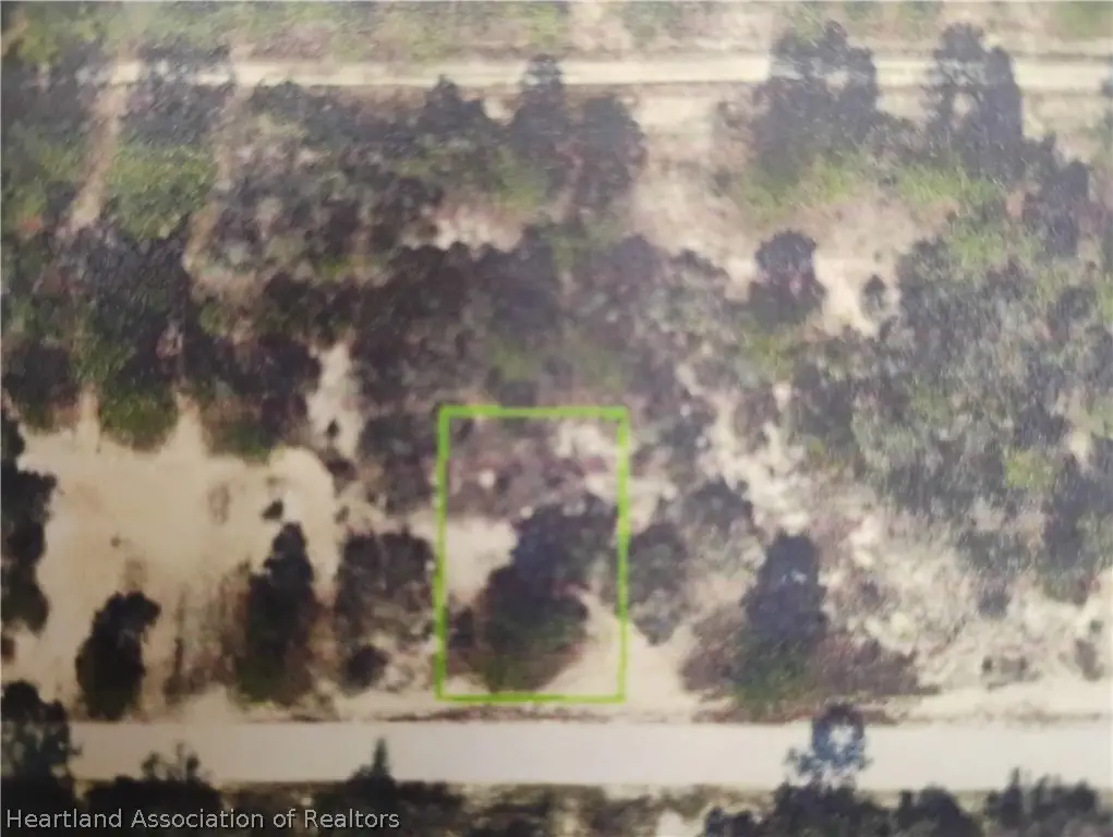 426 Blue Moon Avenue, Lake Placid, FL 33852 - #1
